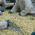 garlic clove for malaysia